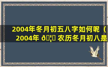 2004年冬月初五八字如何呢（2004年 🦈 农历冬月初八是什么星座）